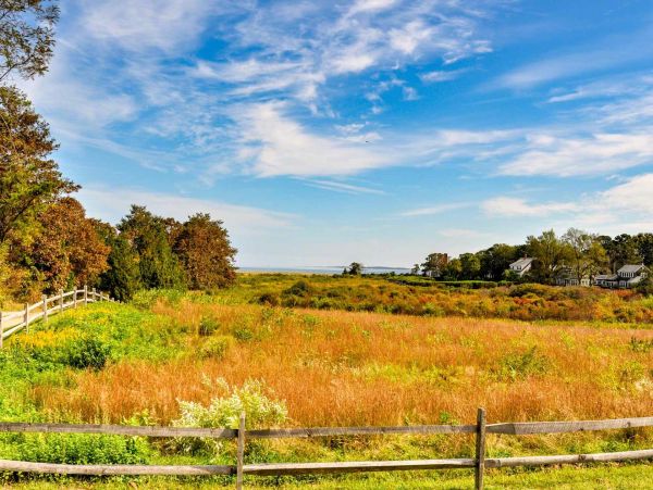 Cape Cod Home 994591