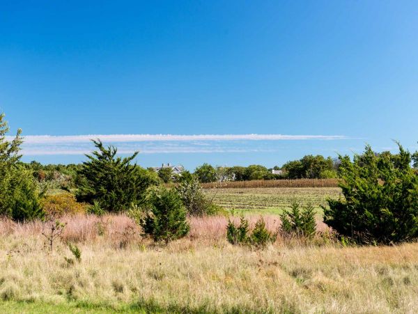 Cape Cod Home 994612