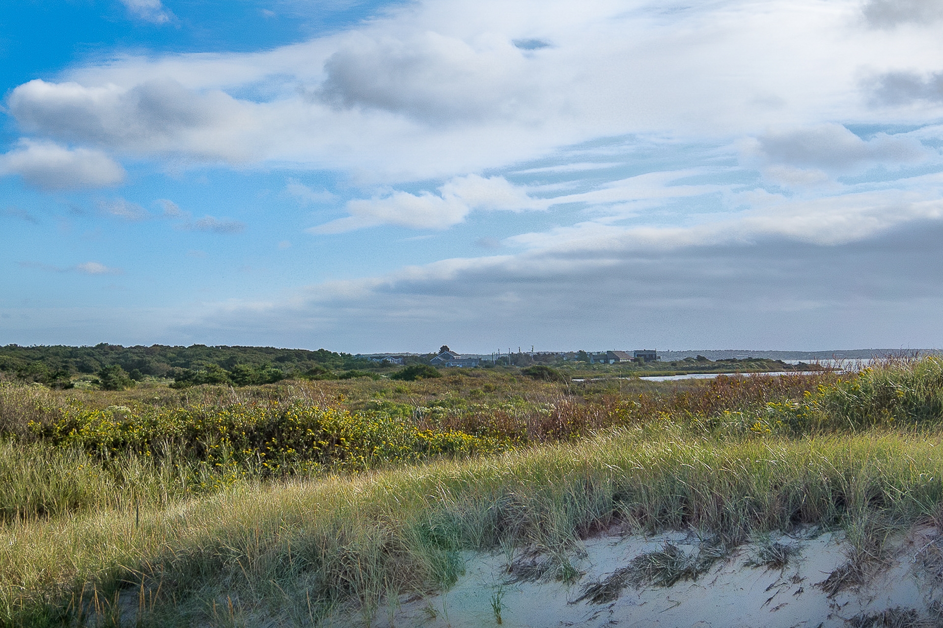 Cape Cod Home 994615