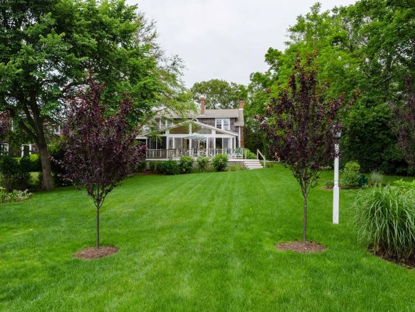 Cape Cod Home 994617