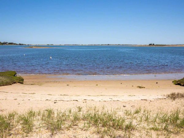 Cape Cod Home 994623