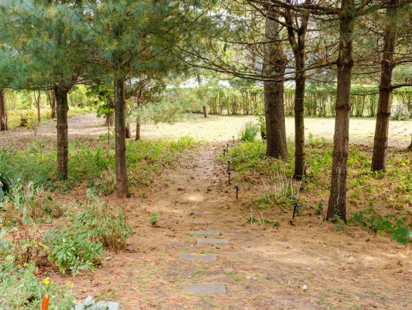 Cape Cod Home 994628