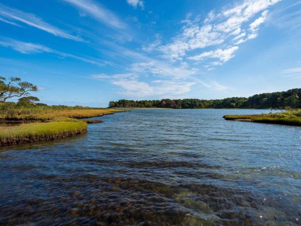 Cape Cod Home 994640
