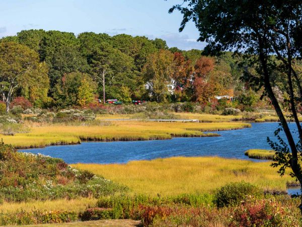 Cape Cod Home 994640