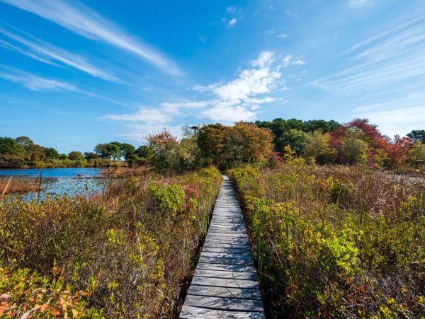 Cape Cod Home 994640