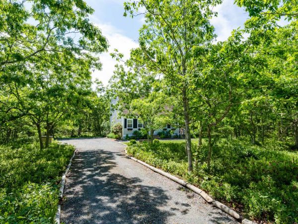 Cape Cod Home 994655