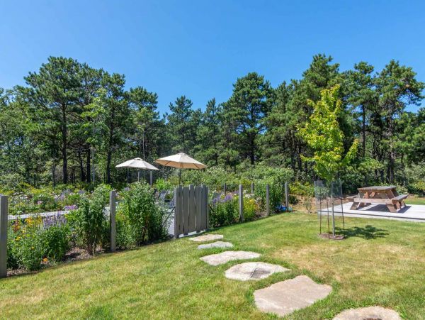 Cape Cod Home 994656