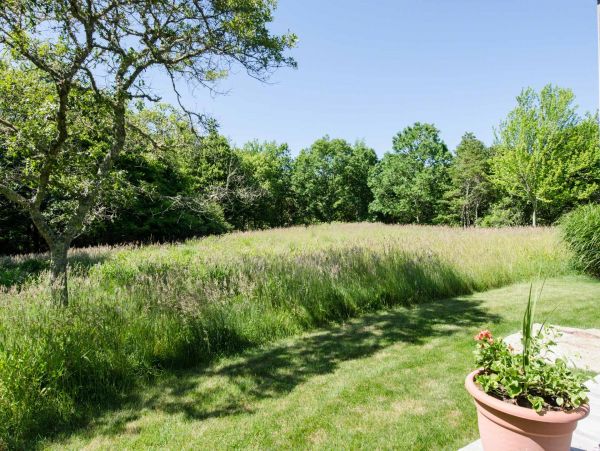 Cape Cod Home 994671