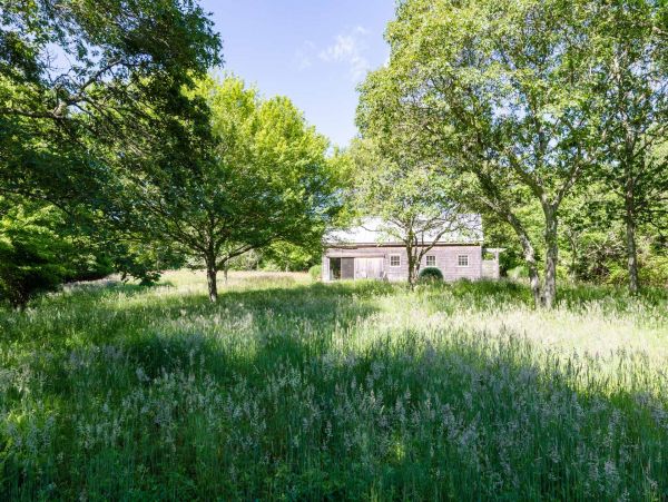 Cape Cod Home 994671