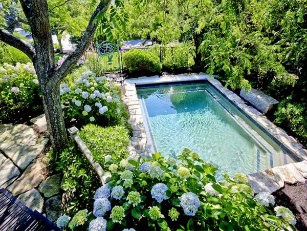 Cape Cod Home 994672