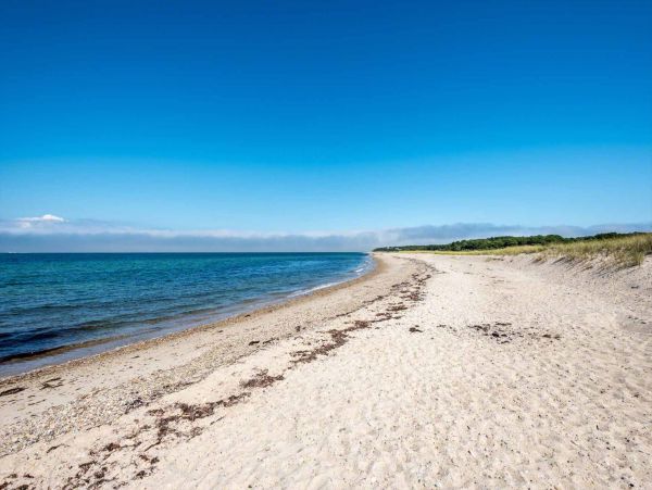 Cape Cod Home 994674