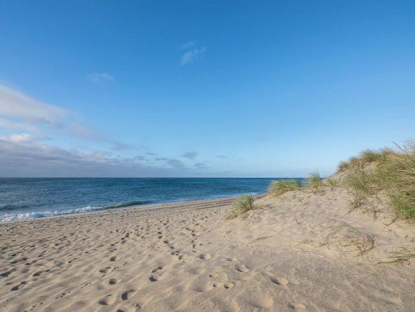 Cape Cod Home 994677