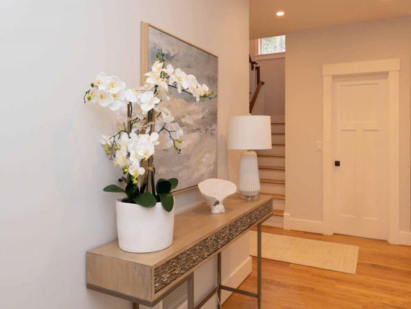Cape Cod Home 994699