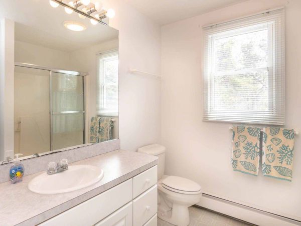 Cape Cod Home 994703