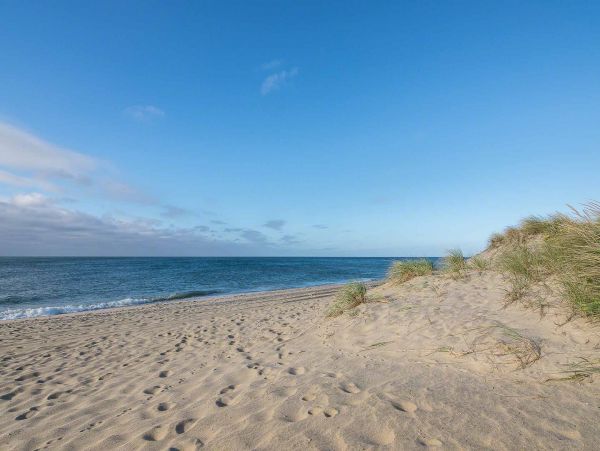 Cape Cod Home 994712