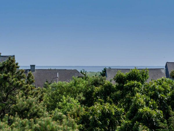 Cape Cod Home 994721