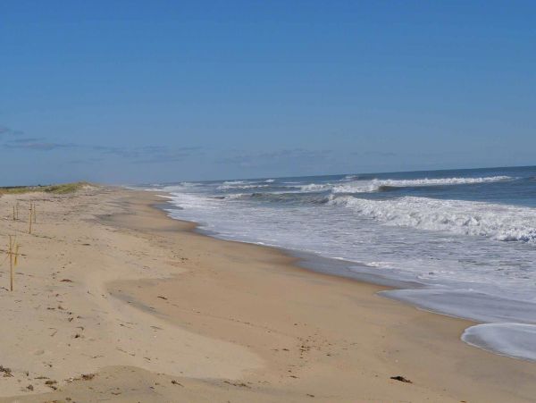 Cape Cod Home 994722