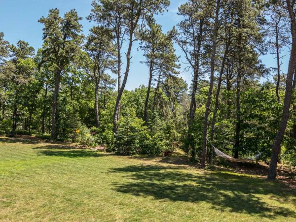 Cape Cod Home 994725