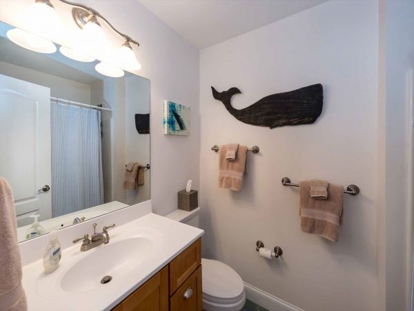 Cape Cod Home 994726