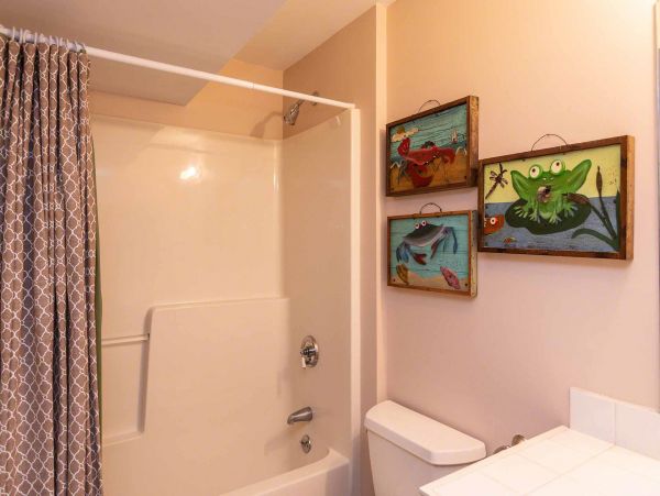 Cape Cod Home 994729