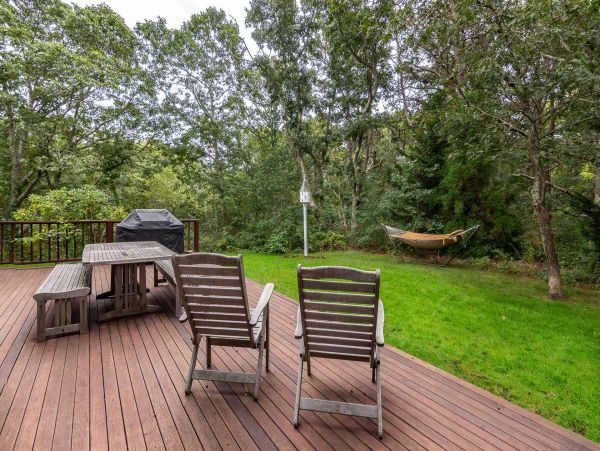 Cape Cod Home 994729
