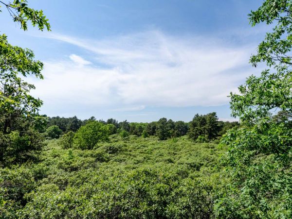 Cape Cod Home 994735