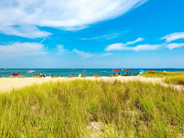 Cape Cod Condo 994736