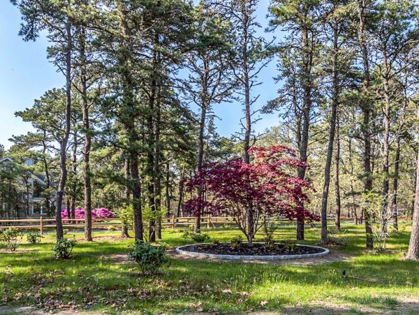 Cape Cod Home 994737