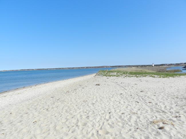 Cape Cod Home 994745