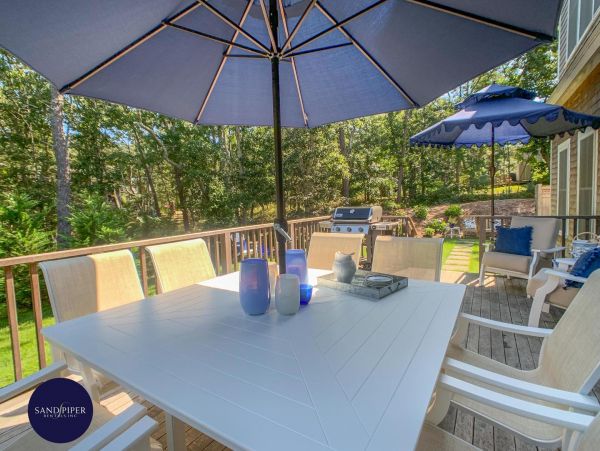 Cape Cod Home 994746
