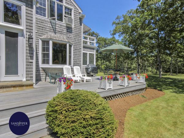 Cape Cod Home 994749