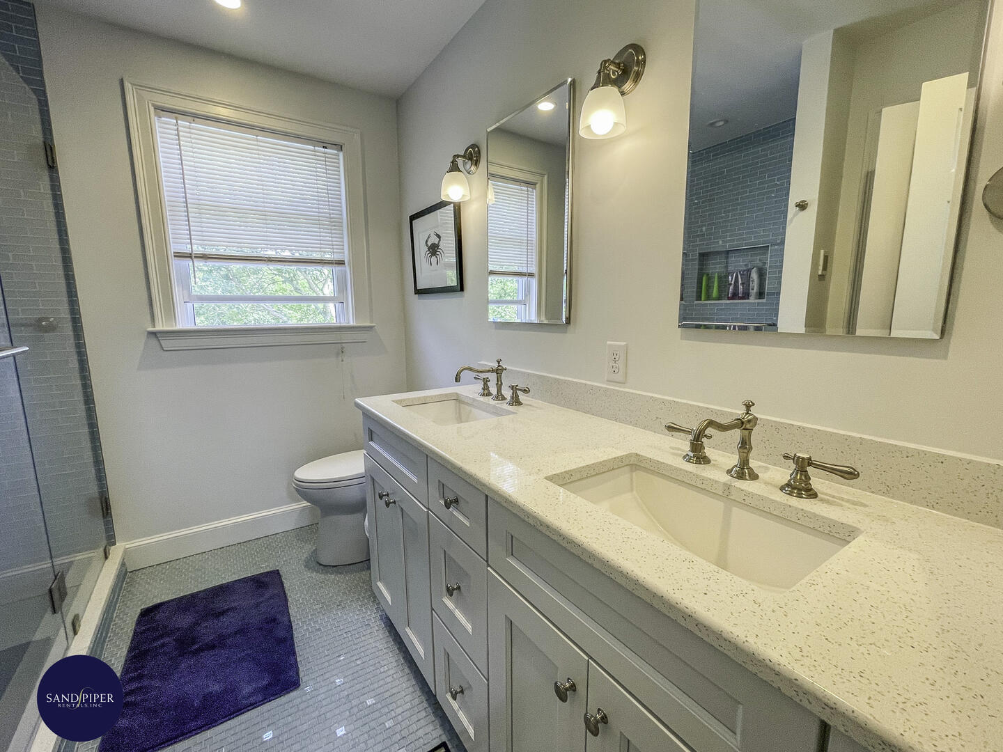 Cape Cod Home 994757