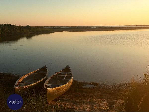 Cape Cod Home 994758