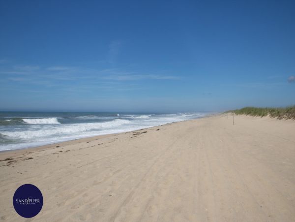 Cape Cod Home 994758