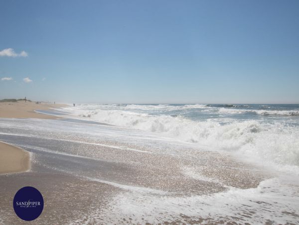 Cape Cod Home 994758