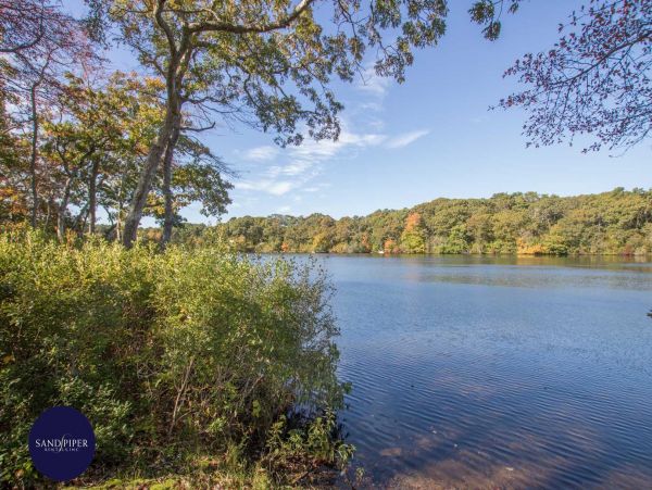 Cape Cod Home 994760