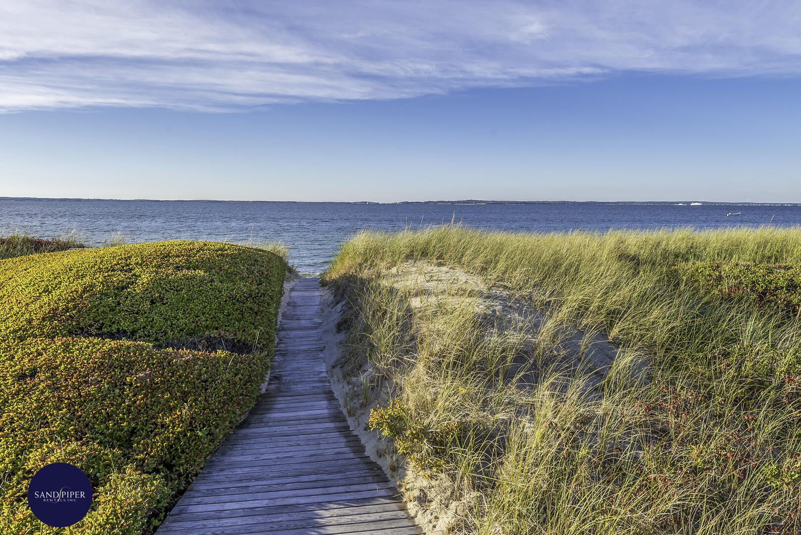Cape Cod Home 994767