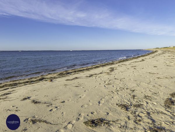 Cape Cod Home 994767