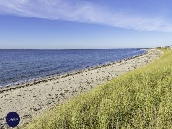 Cape Cod Home 994767