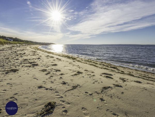Cape Cod Home 994767