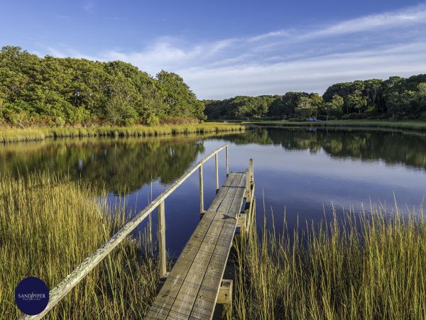 Cape Cod Home 994767