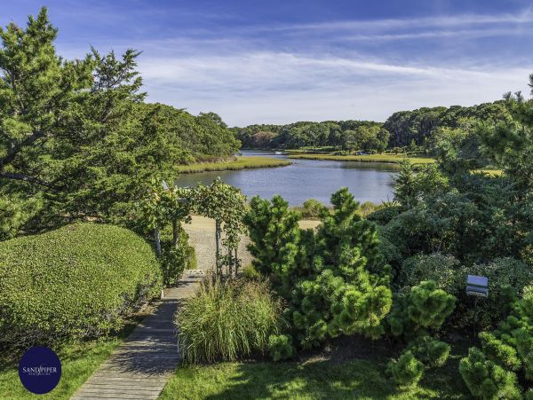 Cape Cod Home 994767
