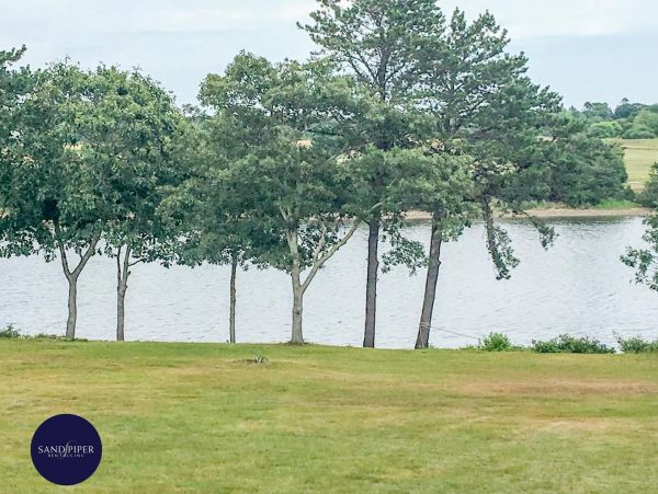 Cape Cod Home 994769