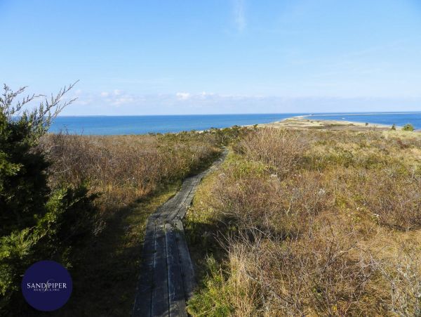 Cape Cod Home 994775