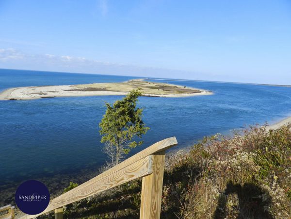 Cape Cod Home 994775