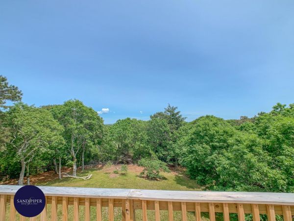Cape Cod Home 994783