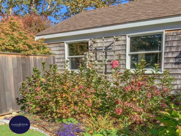 Cape Cod Home 994788