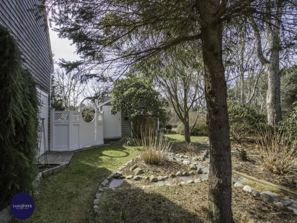 Cape Cod Home 994788