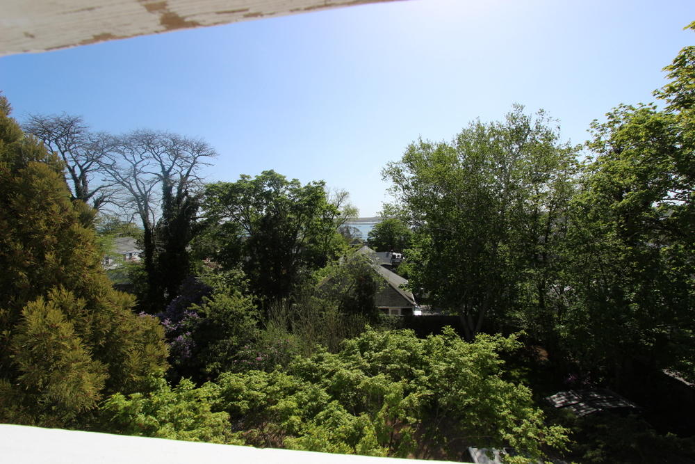 Cape Cod Home 994797