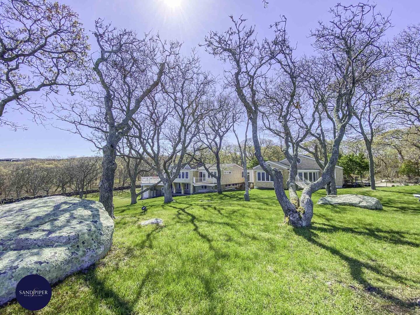 Cape Cod Home 994803